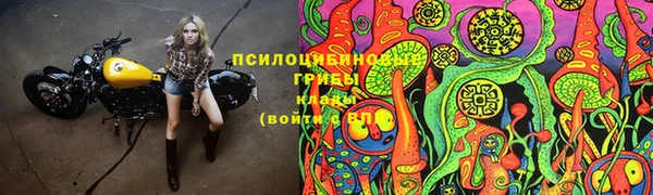 гидропоника Алексеевка